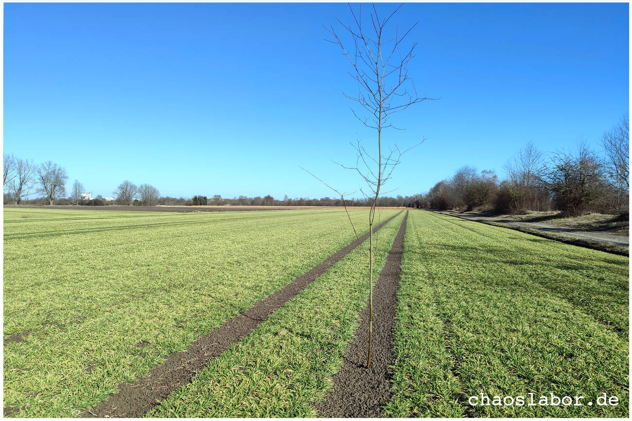 Ueberfahren und wieder auferstanden